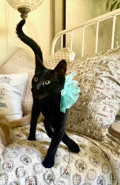 Baby Bear And Flouffie thumbnail 4