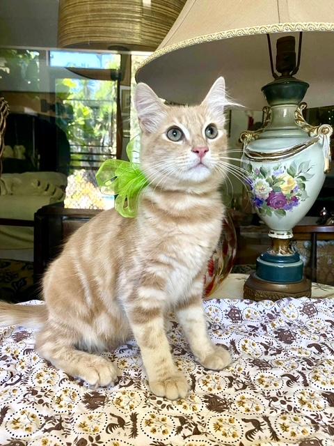 Baby Bear And Flouffie thumbnail 2