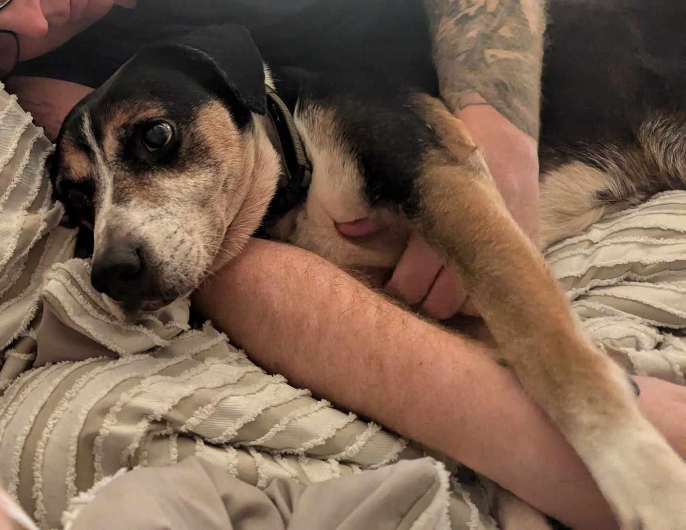 Gunner — thumbnail 3