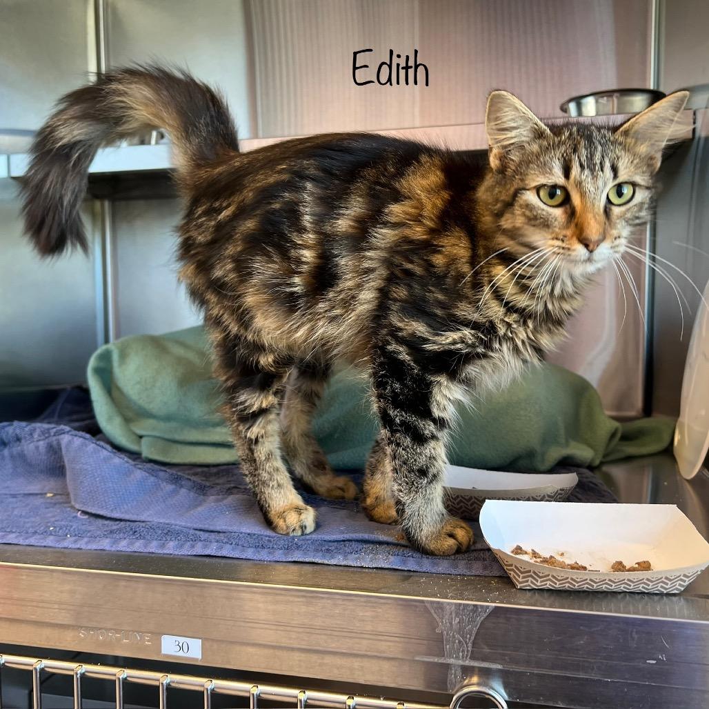 Edith photo