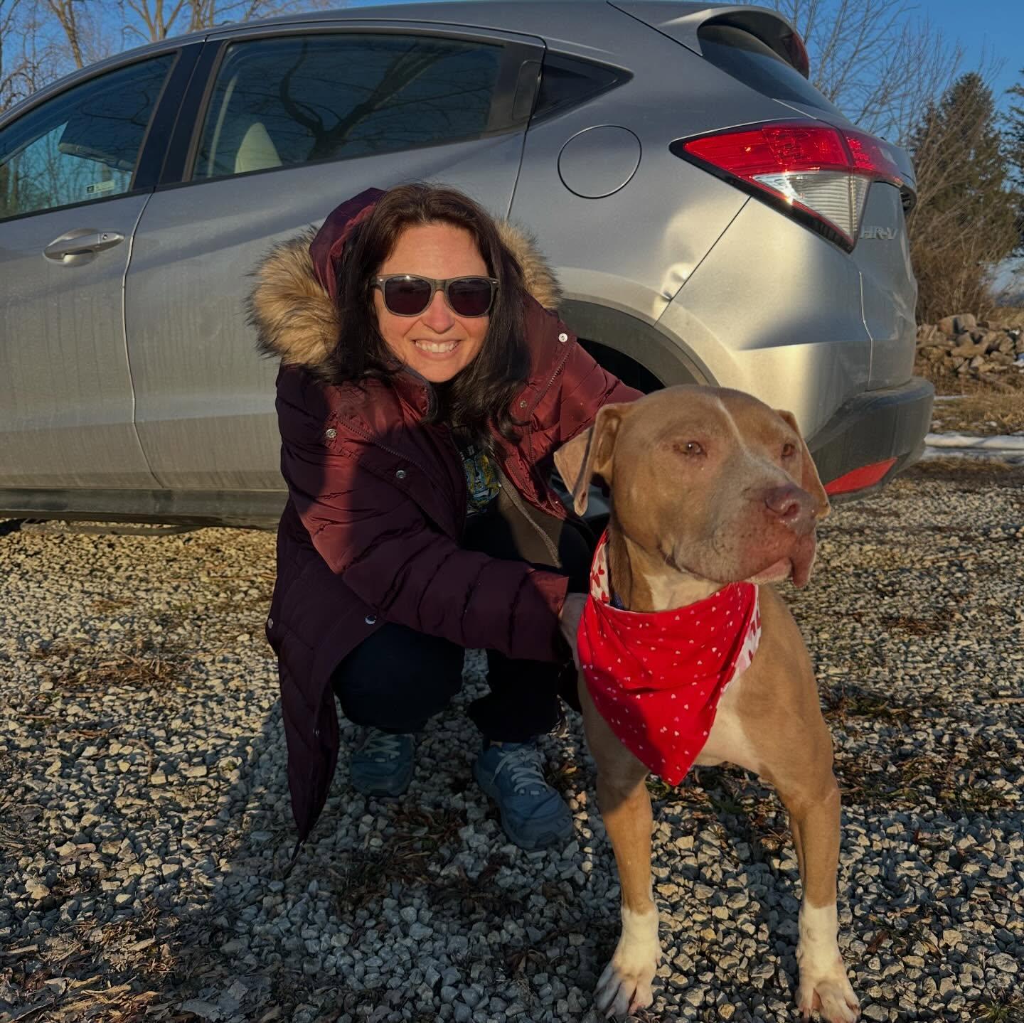 Enlarge Asher , a ADOPTABLE mixed breed in St Marys, OH image 4/6