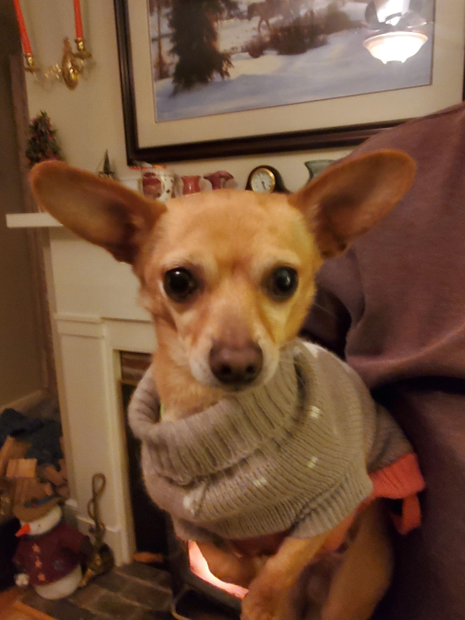 Kato Giblet — thumbnail 2