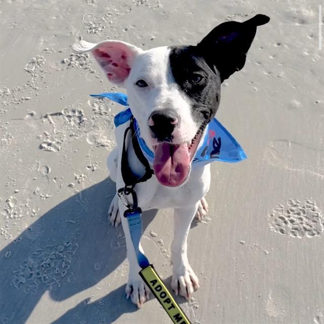 KNOWLEDGE — thumbnail 2