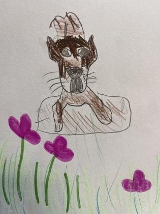 Enlarge Elsa, a Adoptable mixed breed in Merriam, KS image 1/3