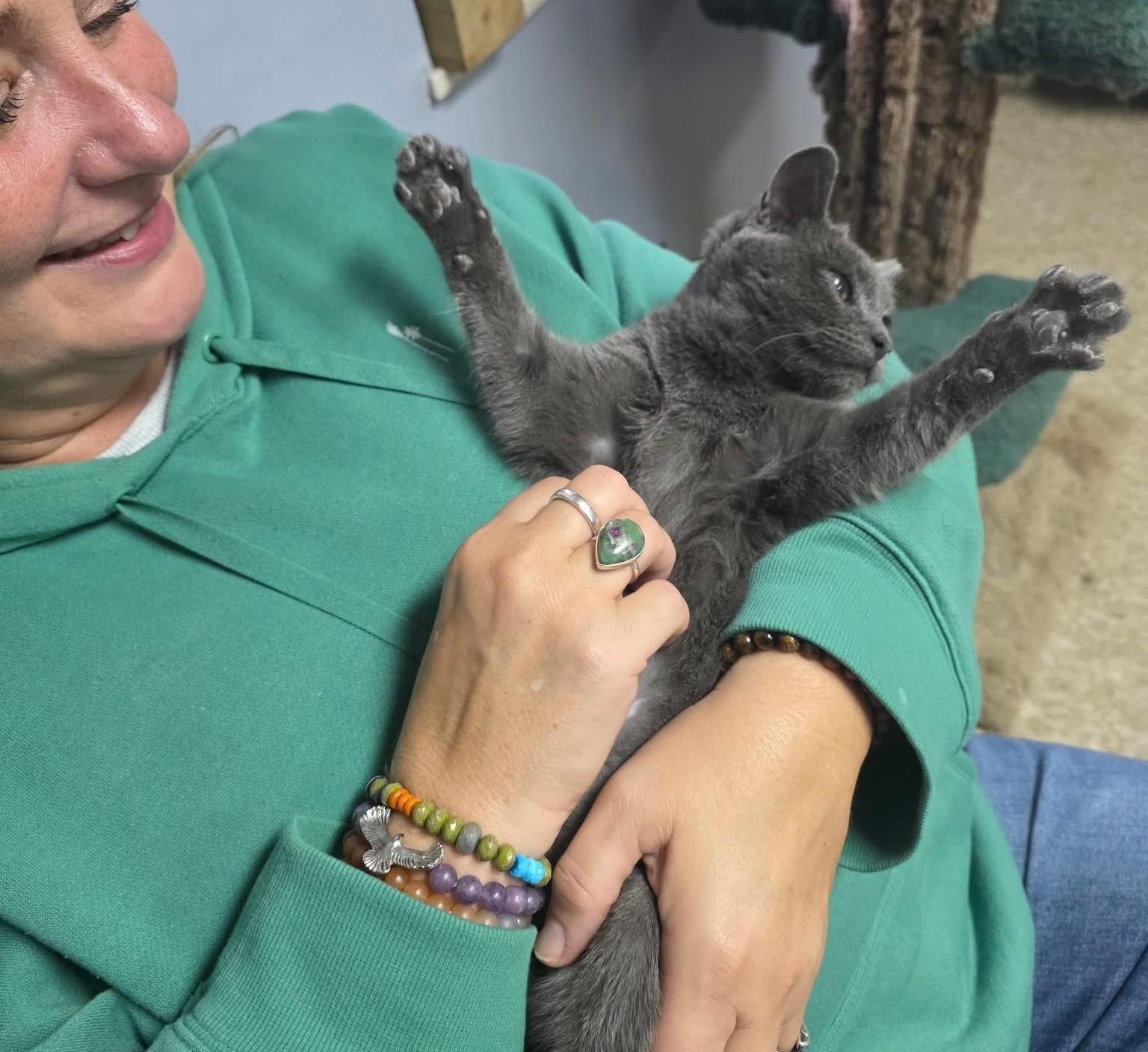 Little Gary (gray girl) — thumbnail 6