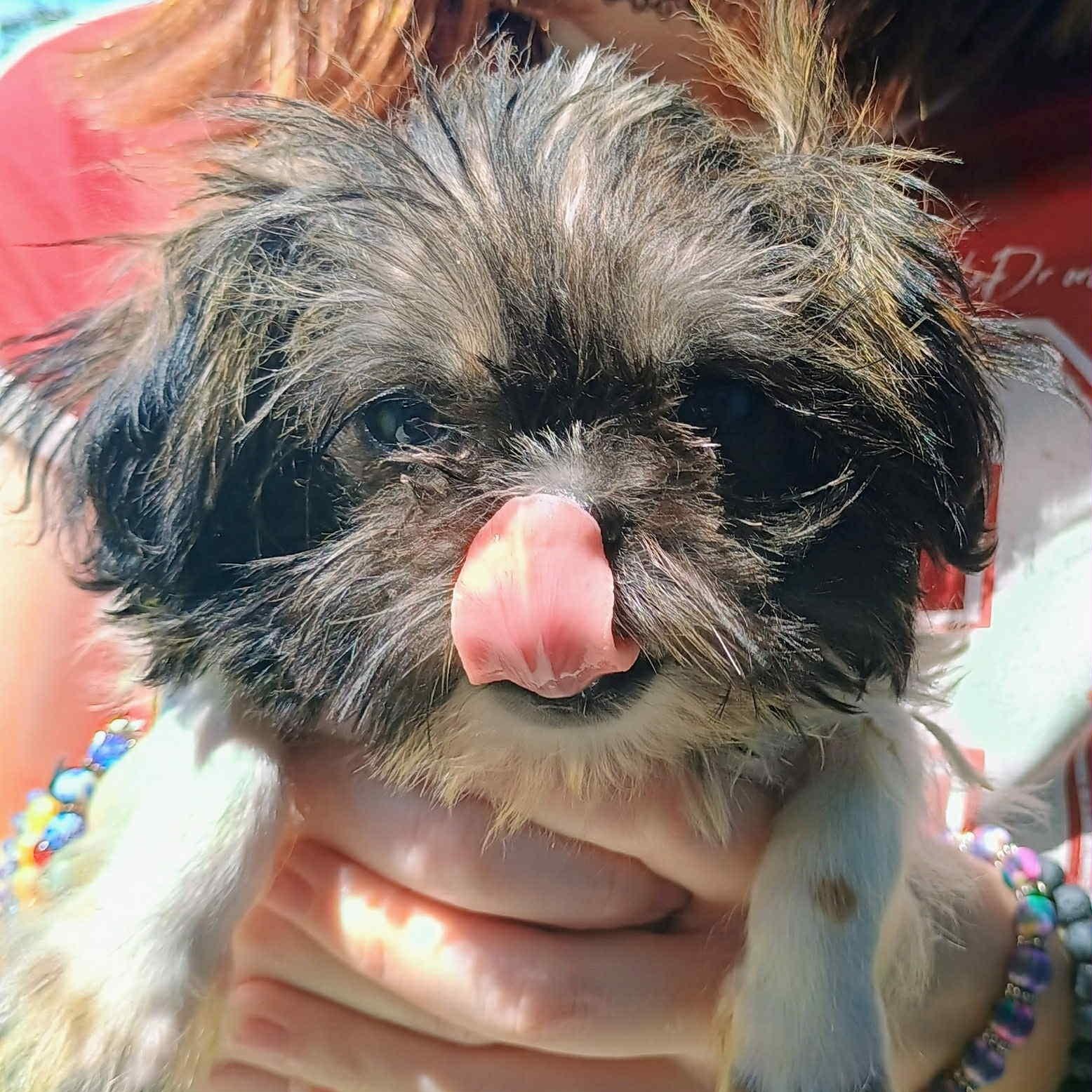 Sammie