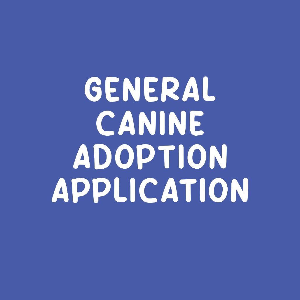 Enlarge General Canine Application, a Adoptable Mixed Breed in Saint Charles, MO image 1/1