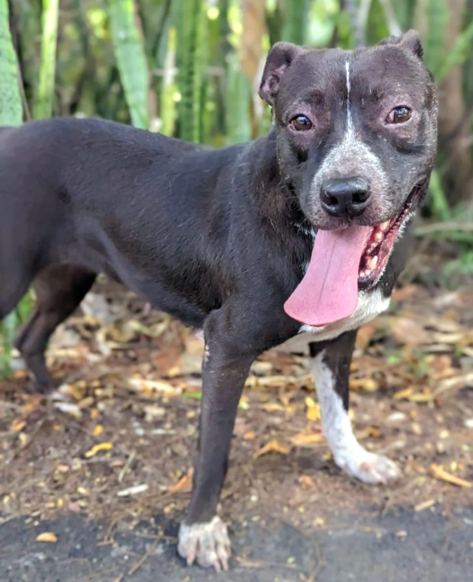 Donna "life With You thumbnail 2