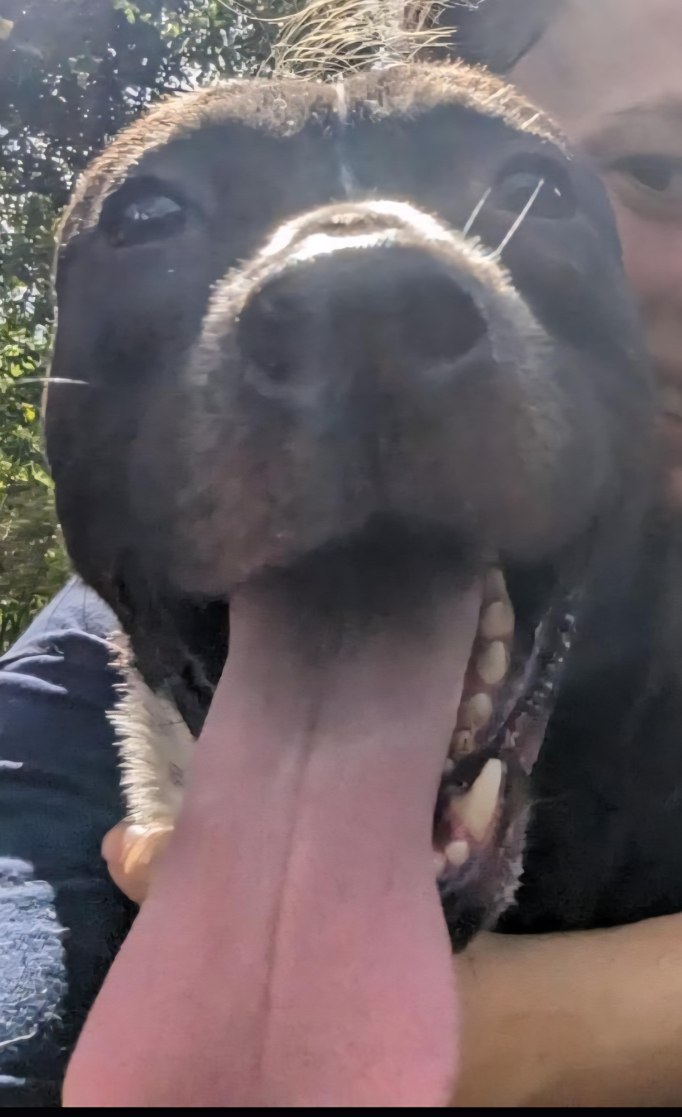 Donna "life With You thumbnail 3