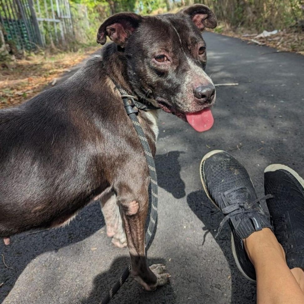 Donna "life With You thumbnail 4