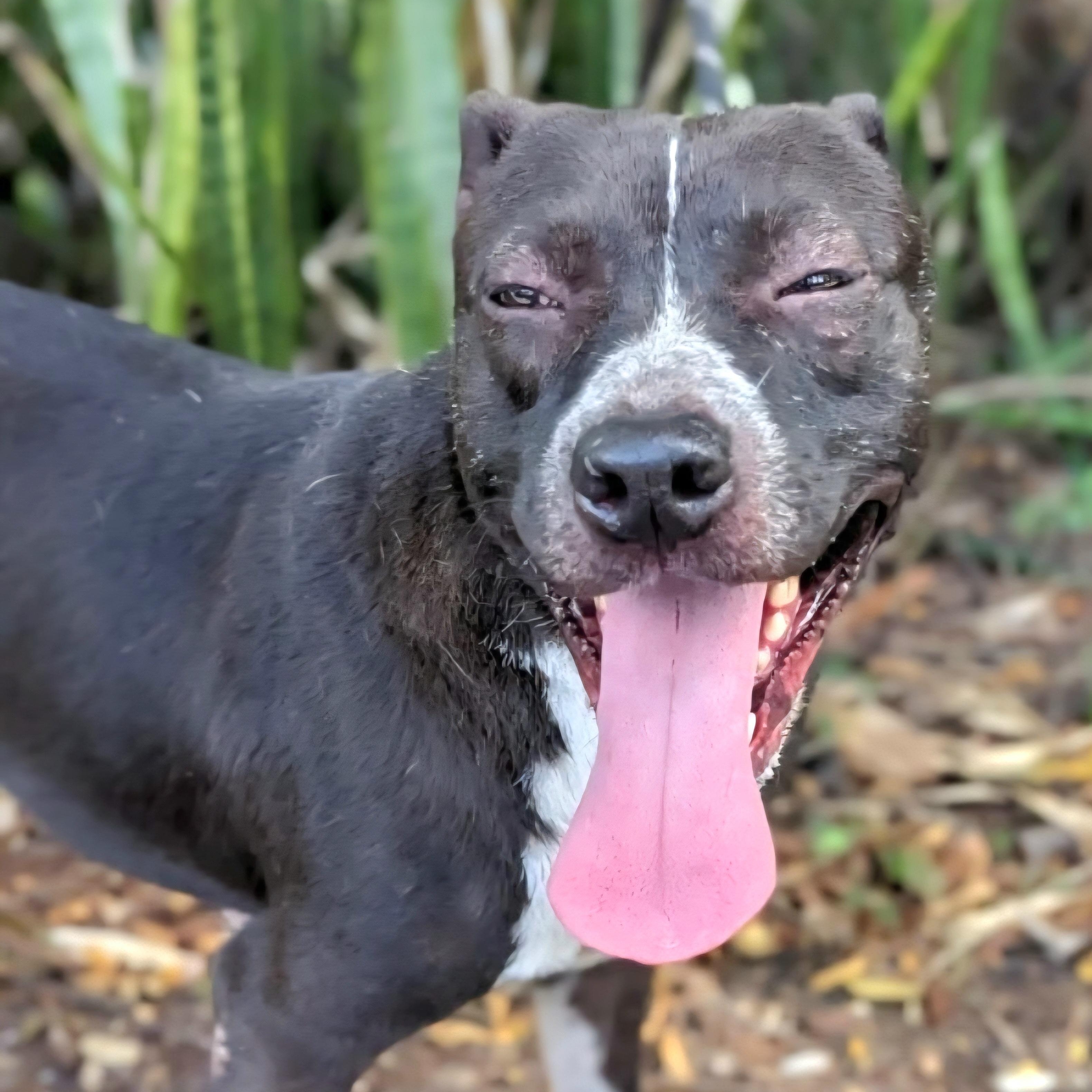 Donna "life With You thumbnail 5