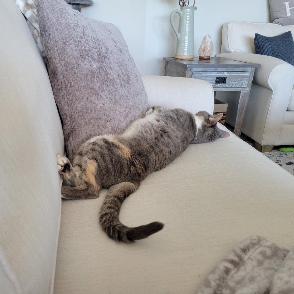 Jamie — thumbnail 3