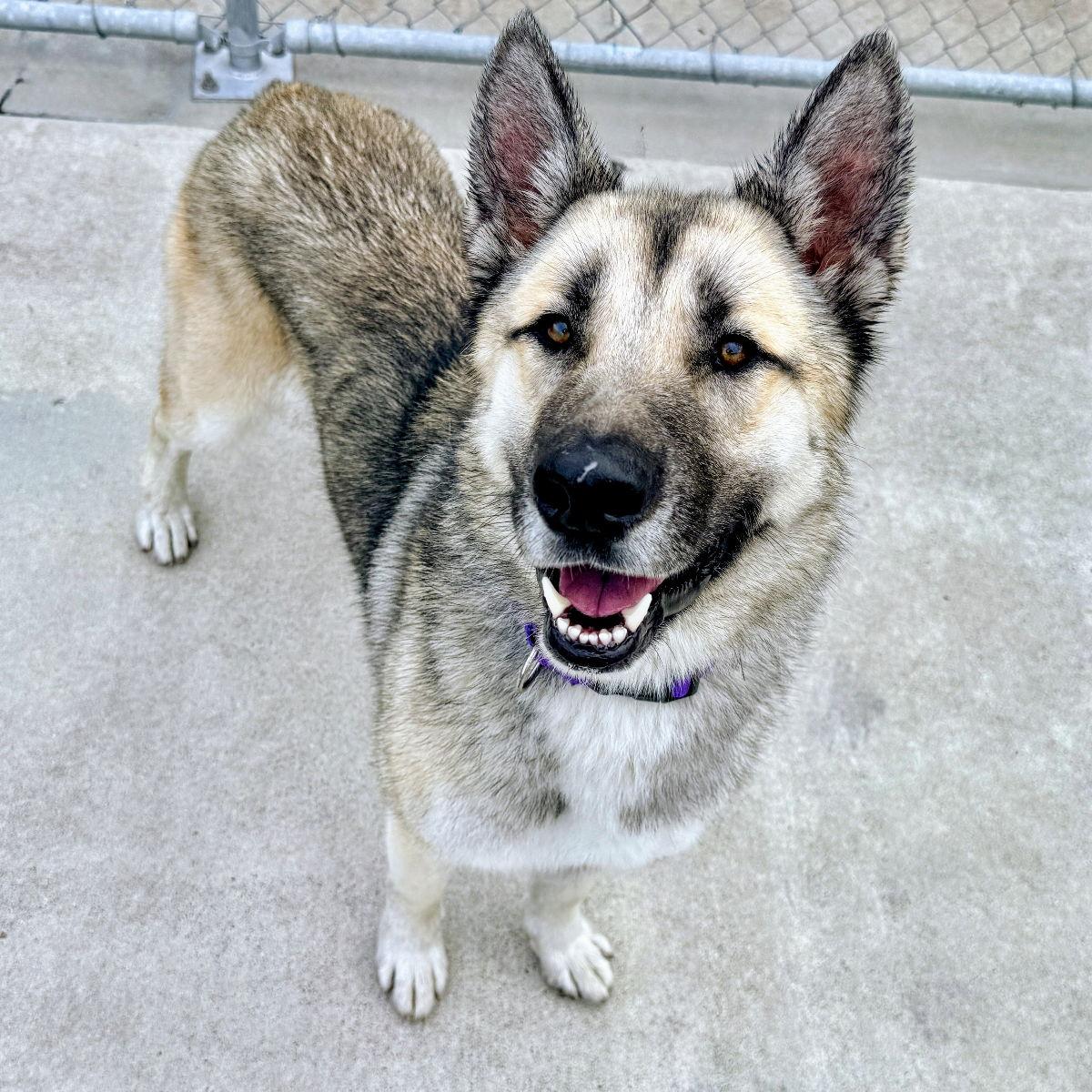 Sunday — thumbnail 2