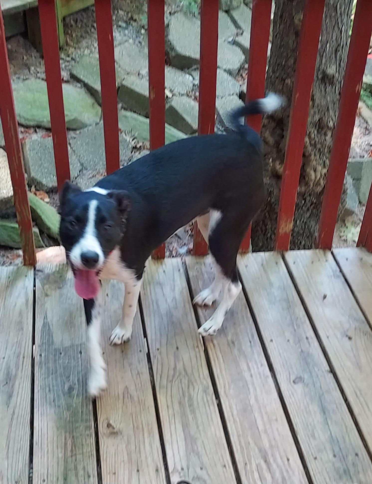 Lenny Aka As Aris thumbnail 2