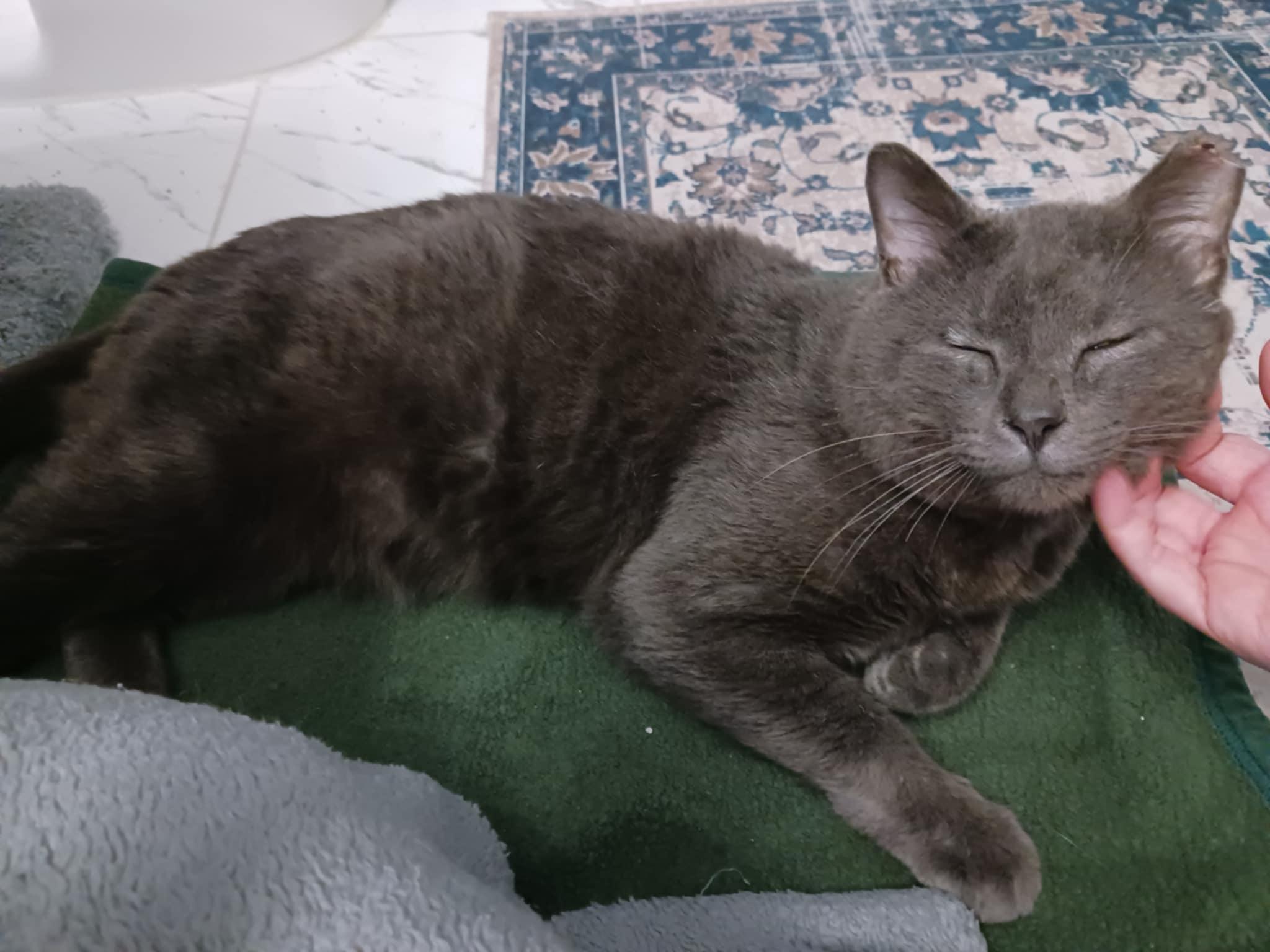 Smokey