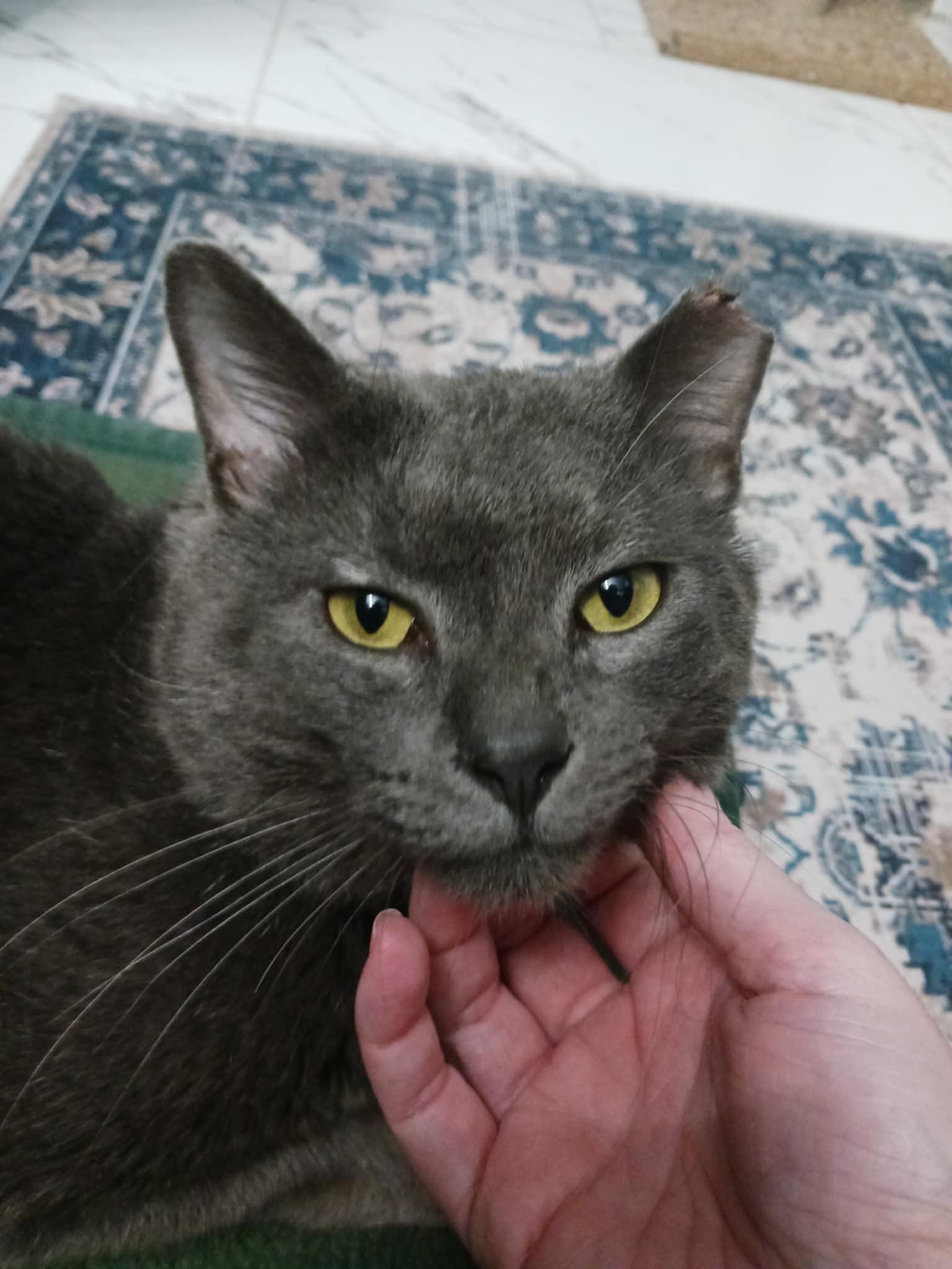 Smokey