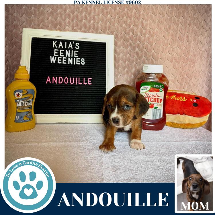 Andouille thumbnail 5