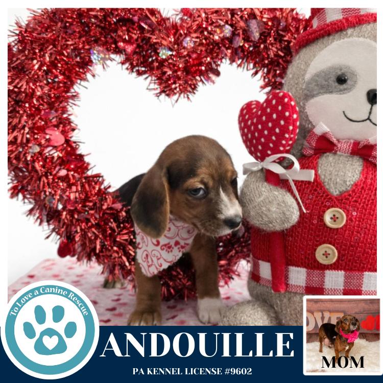 Andouille thumbnail 6