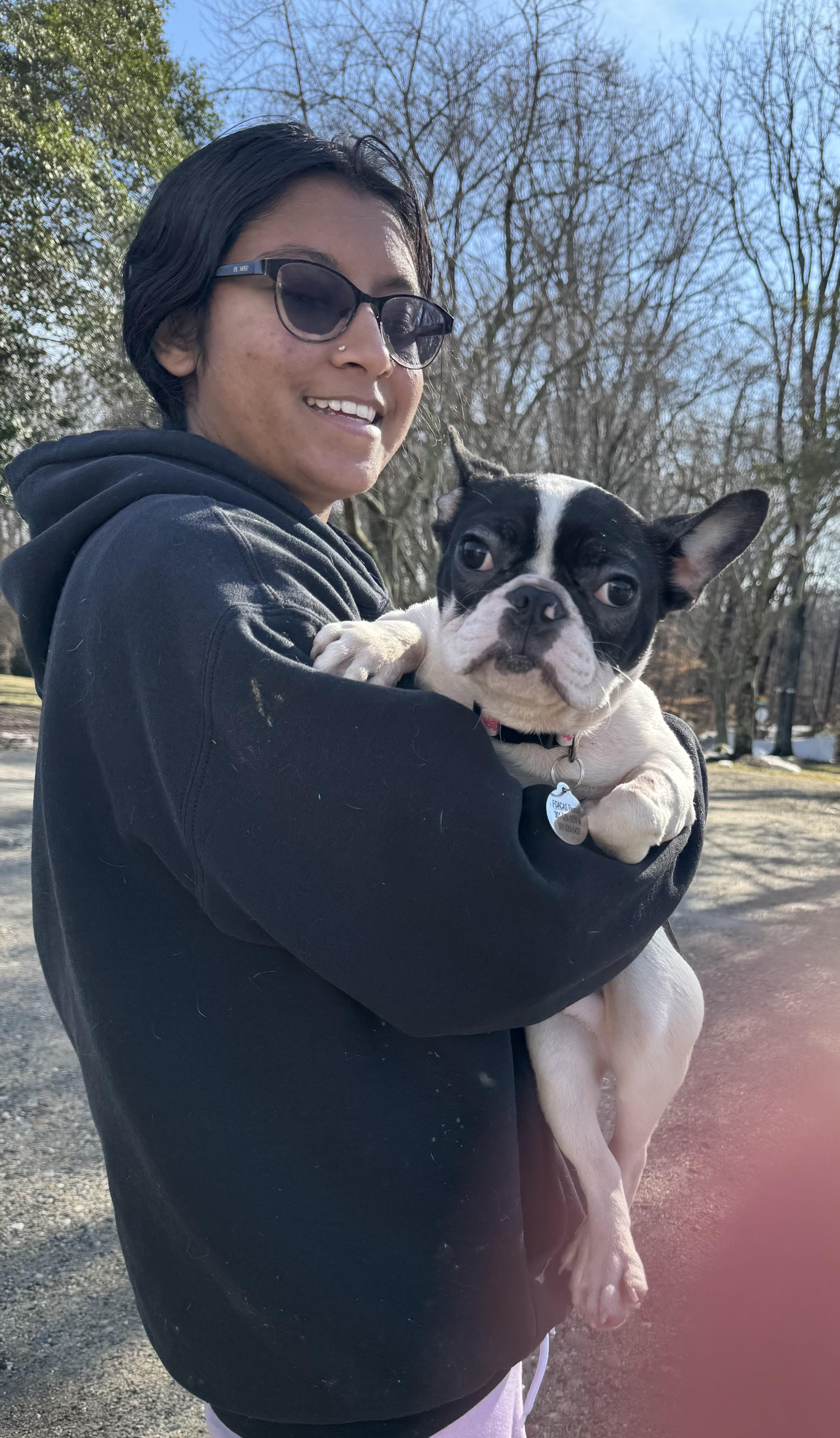 Enlarge Hudson, a ADOPTABLE French Bulldog in POTOMAC, MD image 2/4