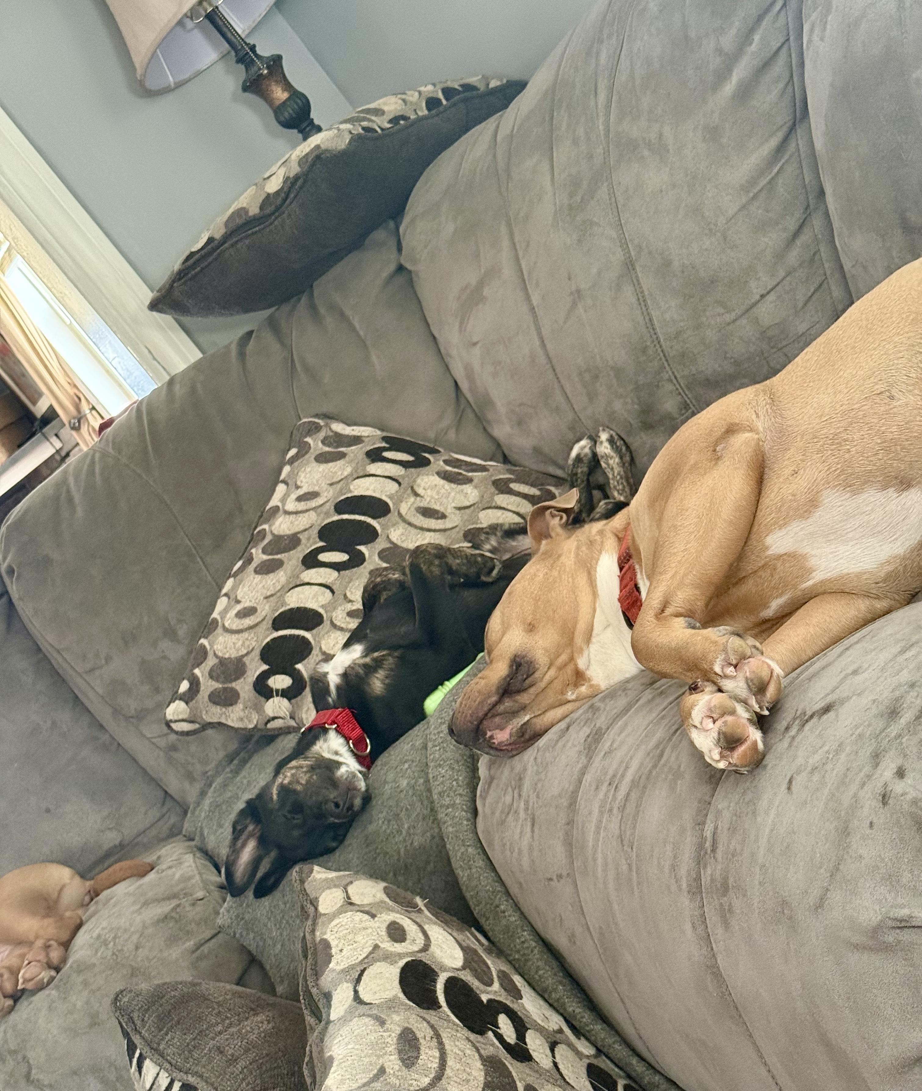 Chloe — thumbnail 2