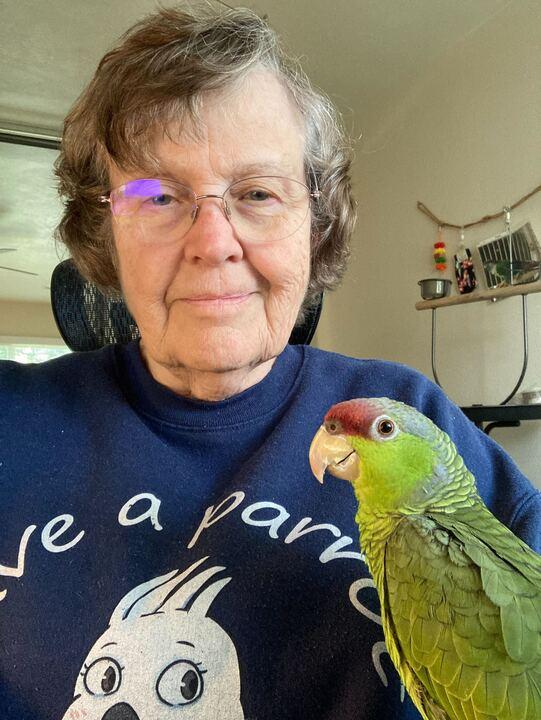 Enlarge Lily, a Adopted Amazon in San Diego, CA image 2/5