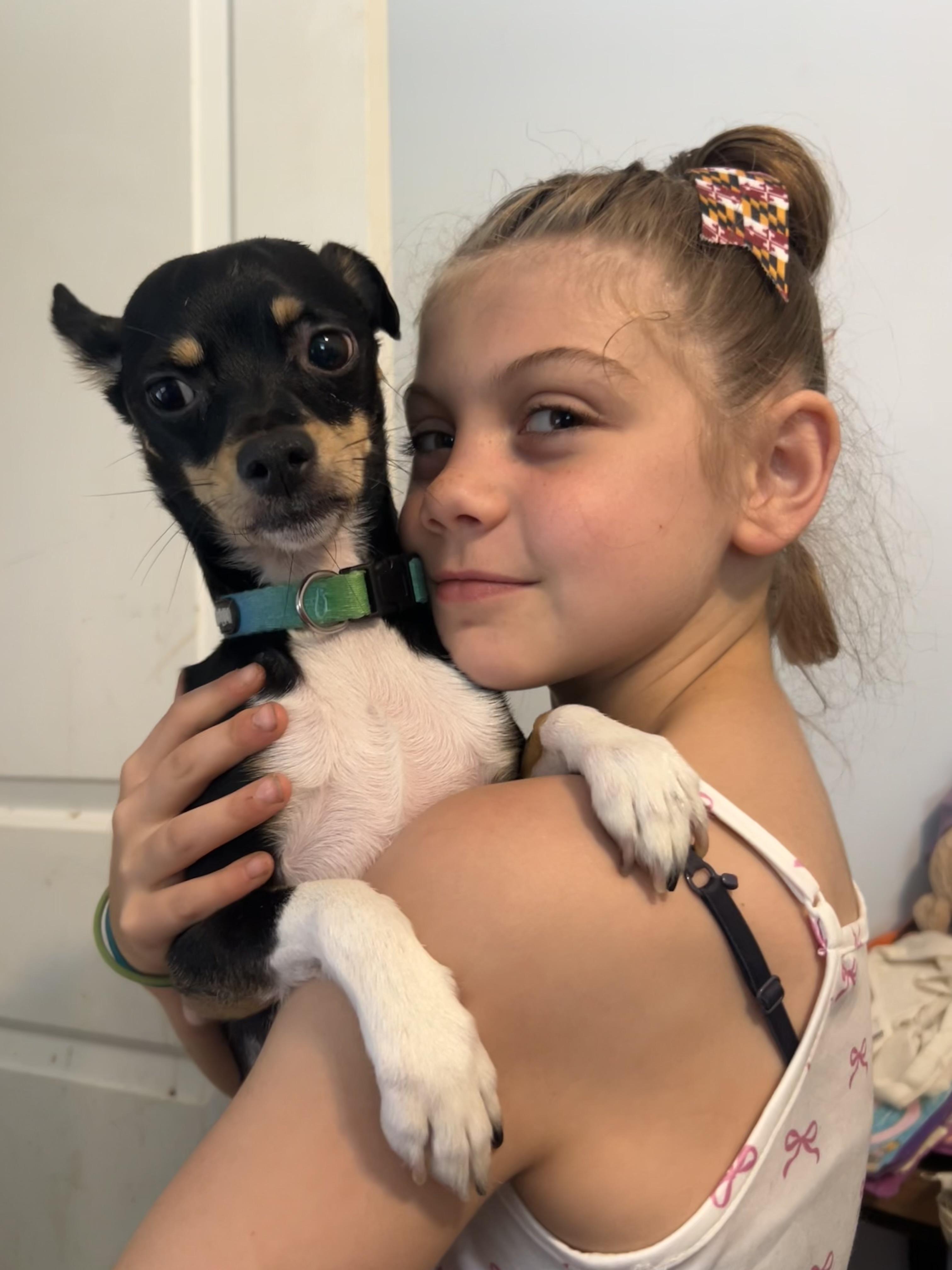 Lotti, a Adoptable mixed breed in Alexandria, VA image 5/6