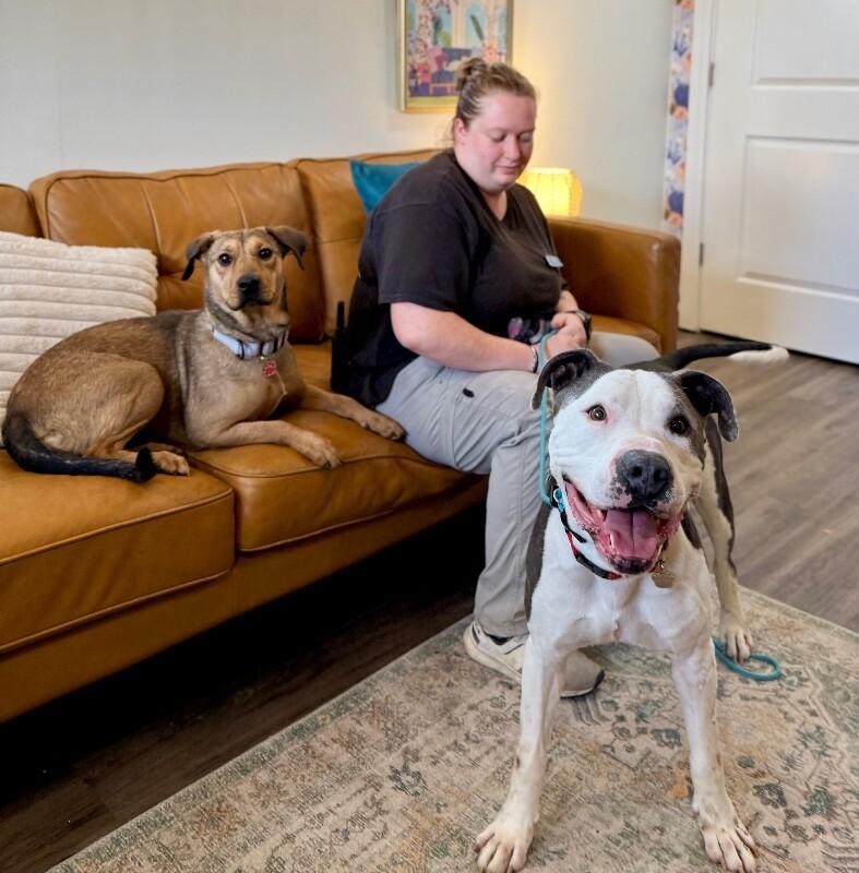 Georgie Smiles with the Best Smile Around Town — thumbnail 3