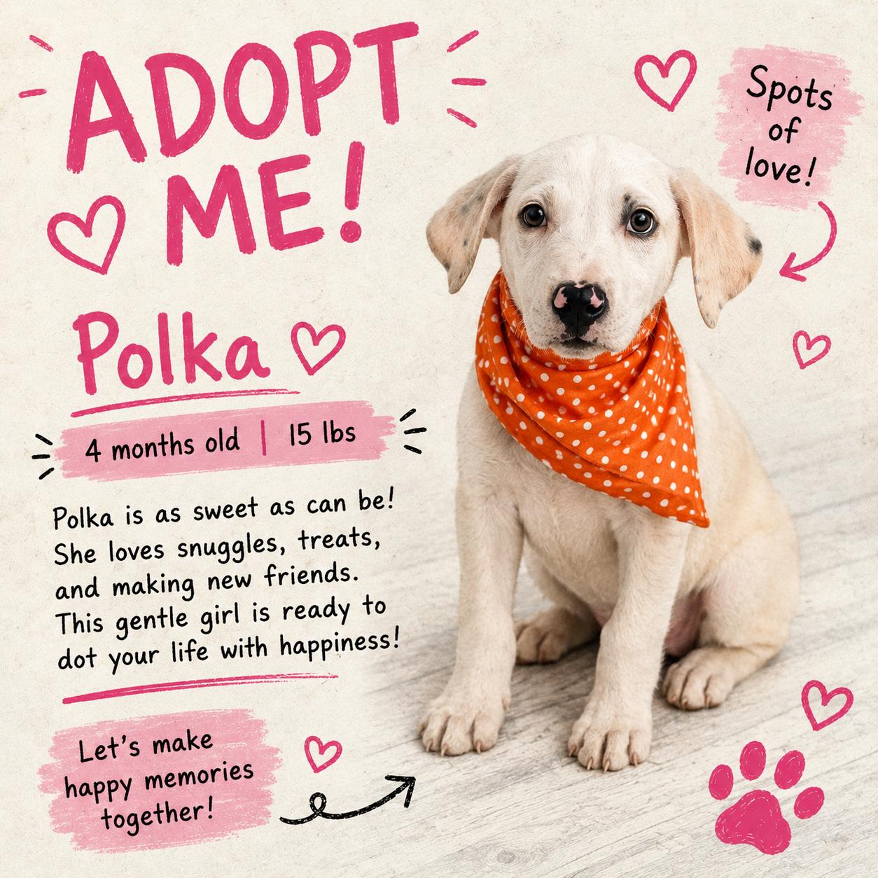 Polka - Local August 28-30, ADOPTABLE, Puppy Female Black Mouth Cur.