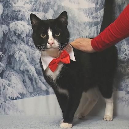 Bryan — thumbnail 2