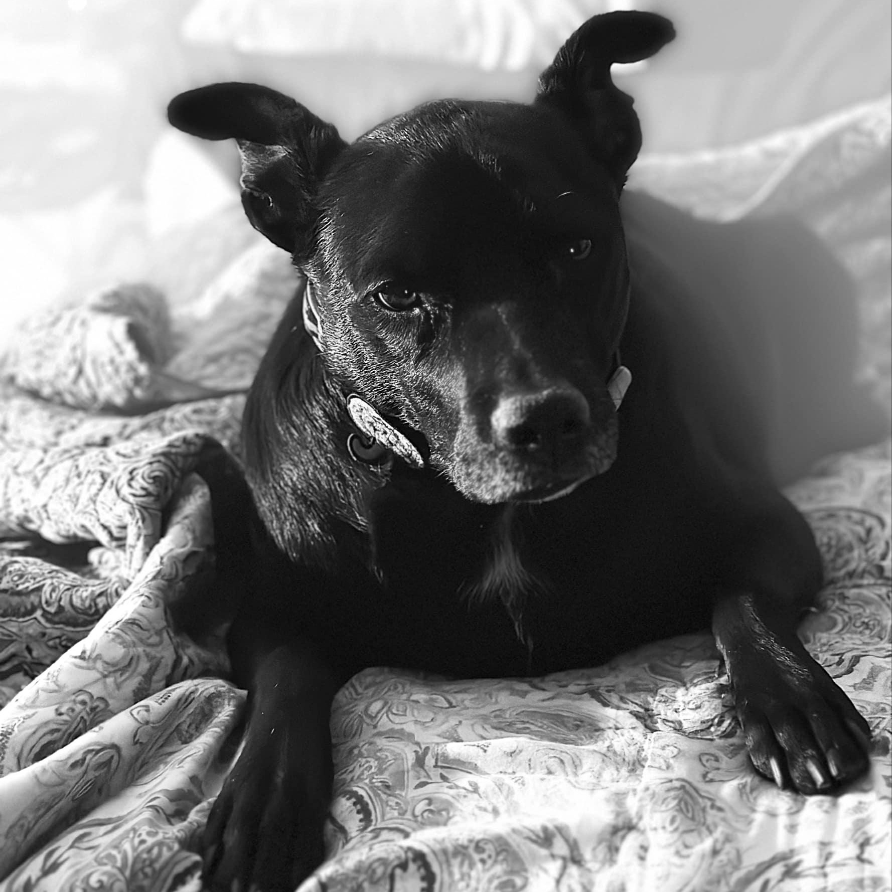 Ellie 1