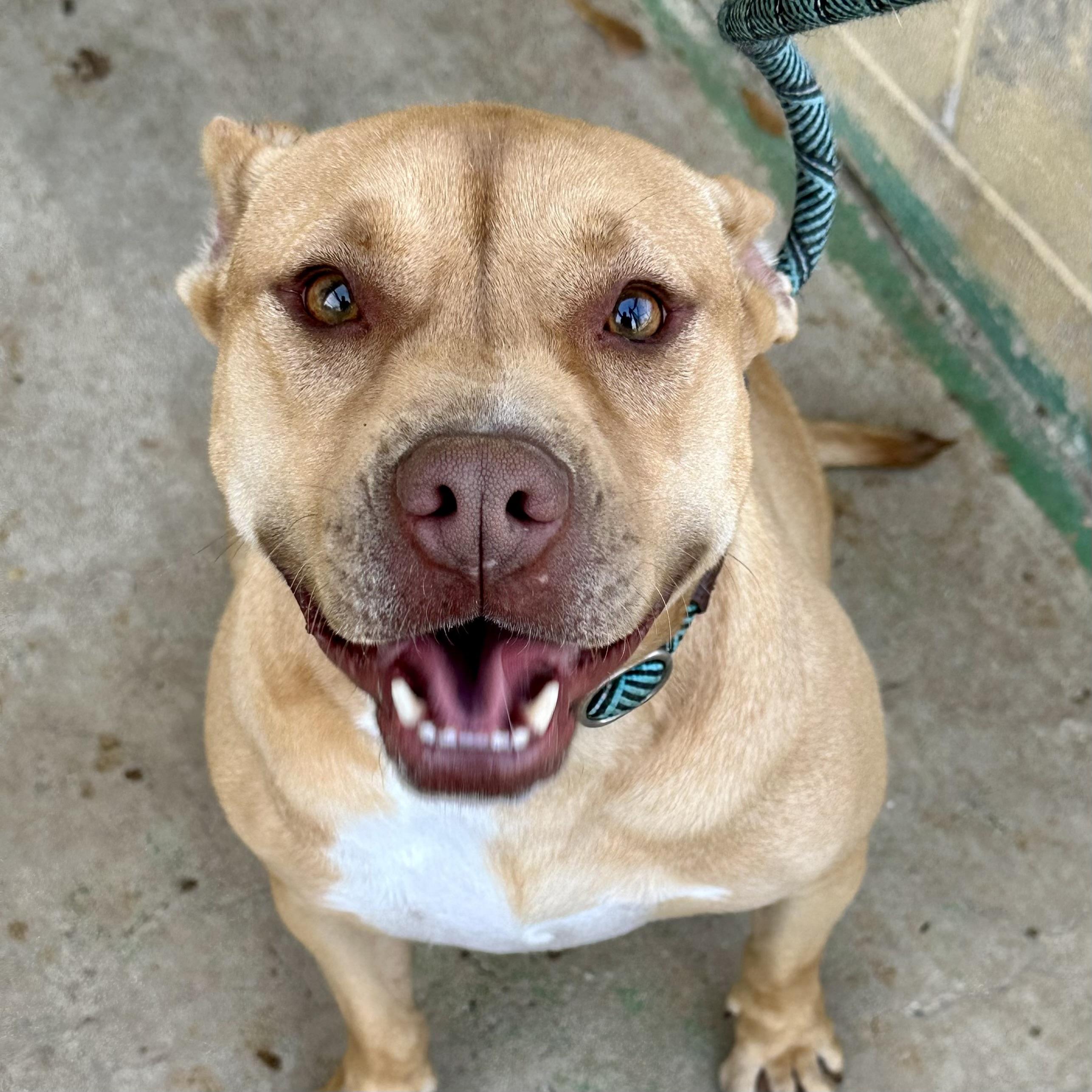 August — thumbnail 2