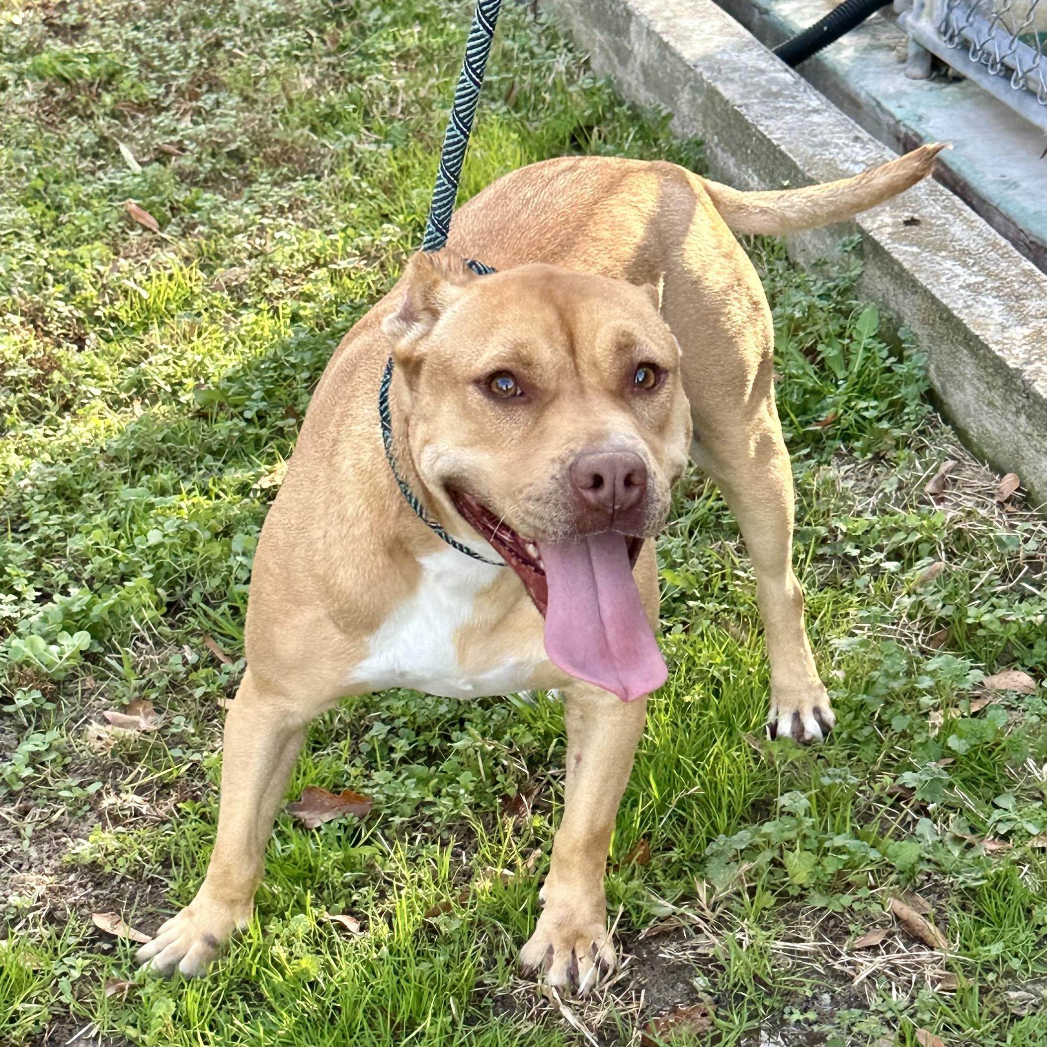 August — thumbnail 5