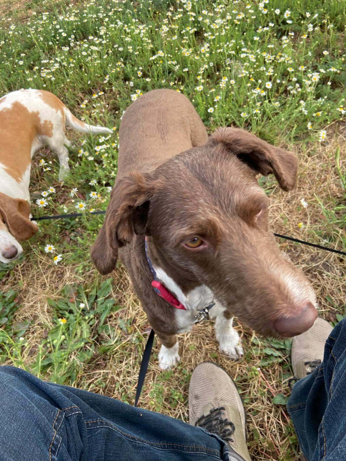 Courtesy Listing Daisy