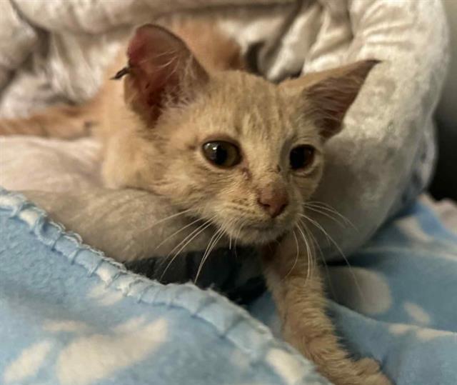 MUNE — thumbnail 2