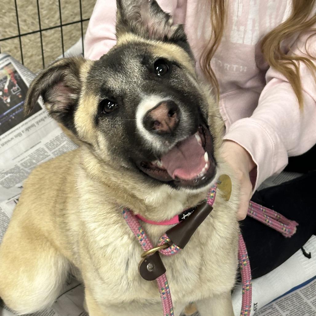 Olive — thumbnail 2