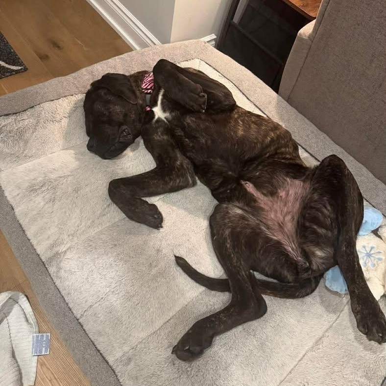 Ruby Mae (20260216-02)