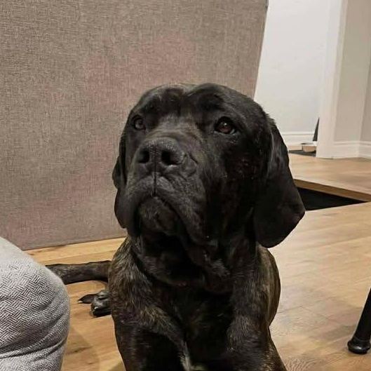 Ruby Mae (20260216-02) — thumbnail 3