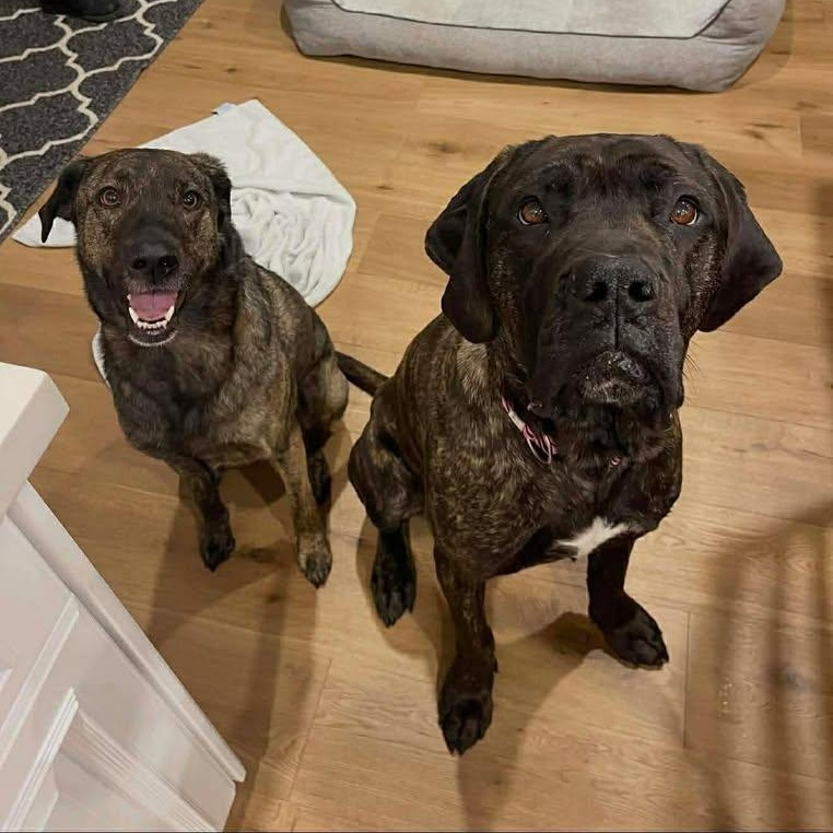 Ruby Mae (20260216-02) — thumbnail 5