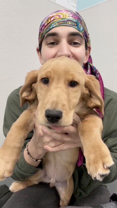 Enlarge Toast, an adopted mixed breed in Aurora, ON video 2/6
