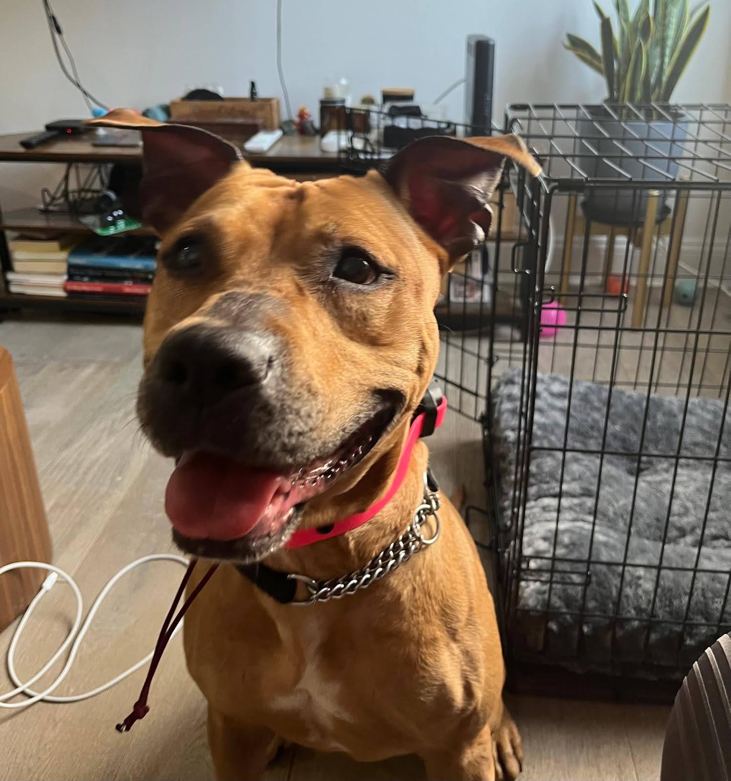 Fiona Apple thumbnail 2