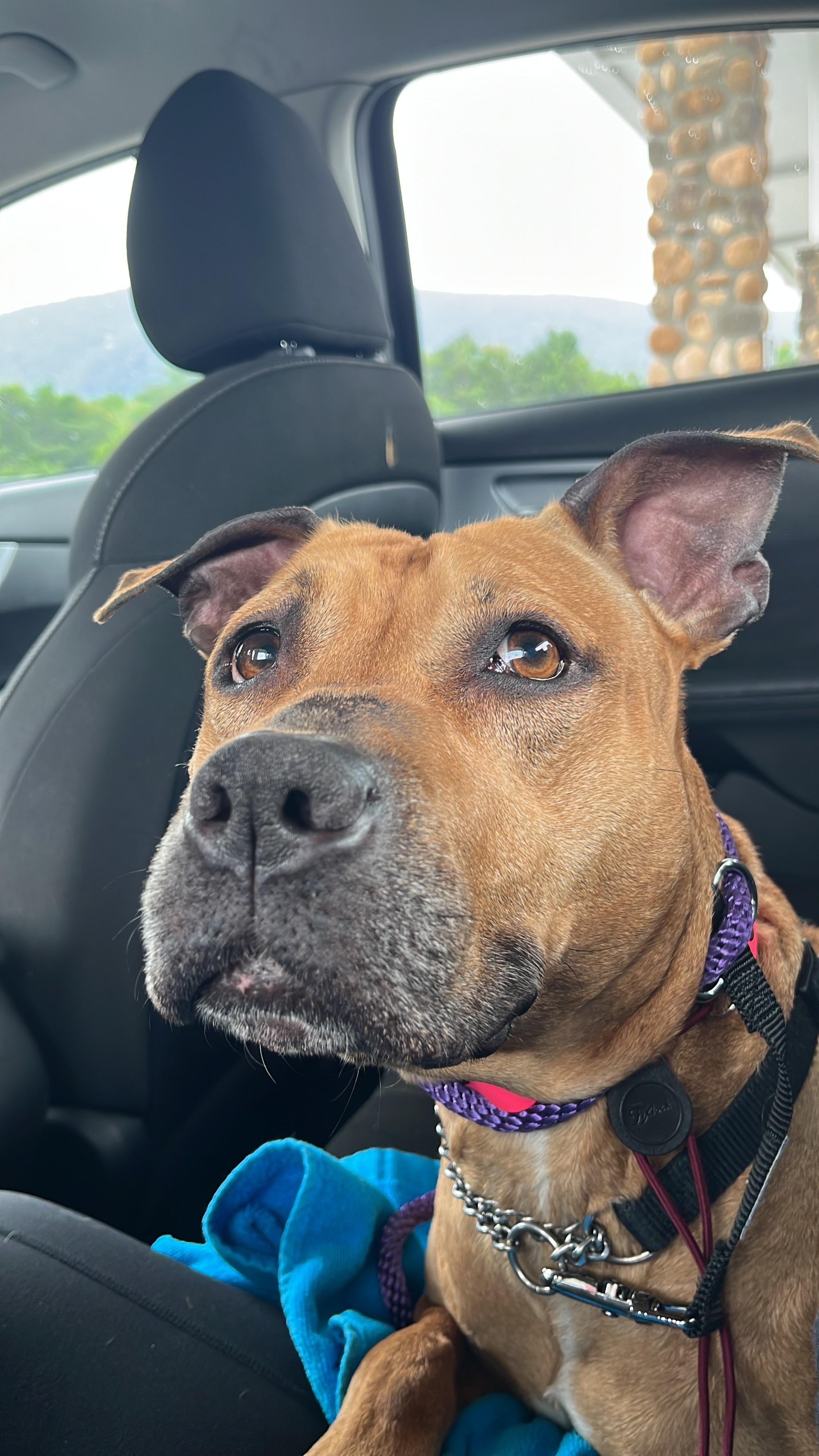 Fiona Apple thumbnail 5