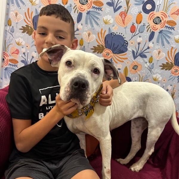 Cassie Spotted Sweetness — thumbnail 3