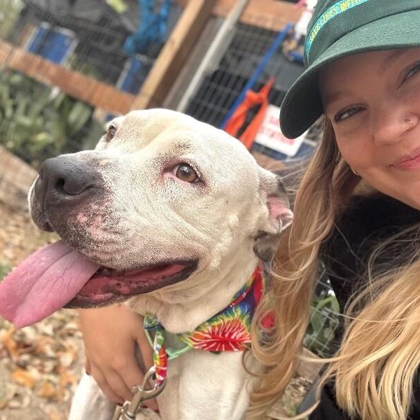 Cassie Spotted Sweetness — thumbnail 5