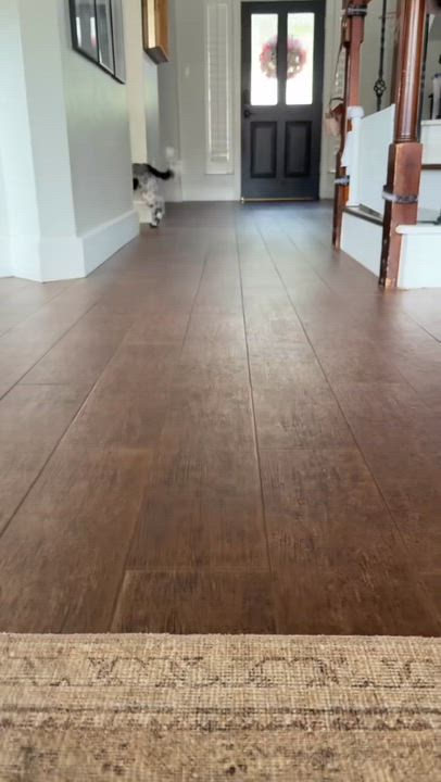 Enlarge OZZY-TEXAS, a Adoptable Goldendoodle in Sugar Land, TX video 6/6