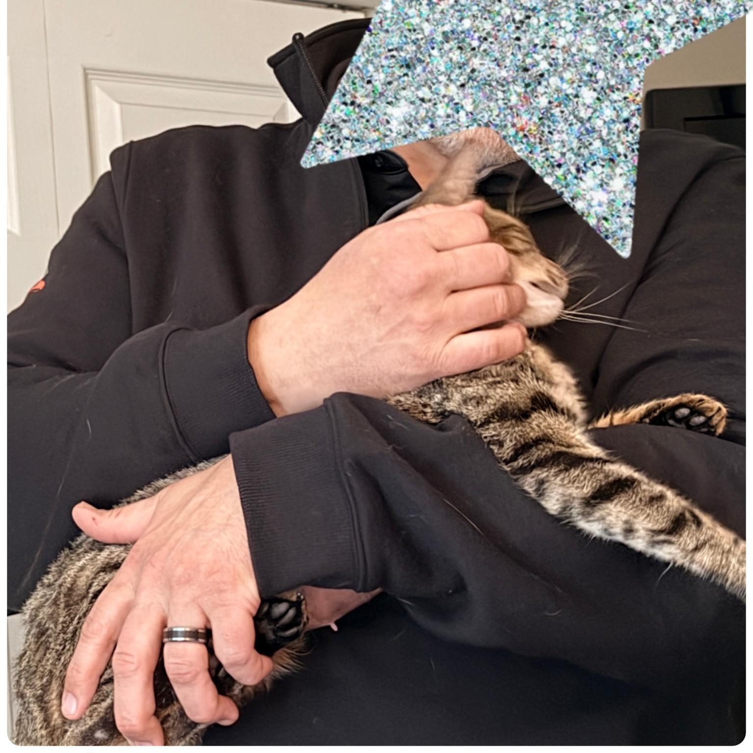 Enlarge Juniper, an adopted mixed breed in Syracuse, NY image 6/6