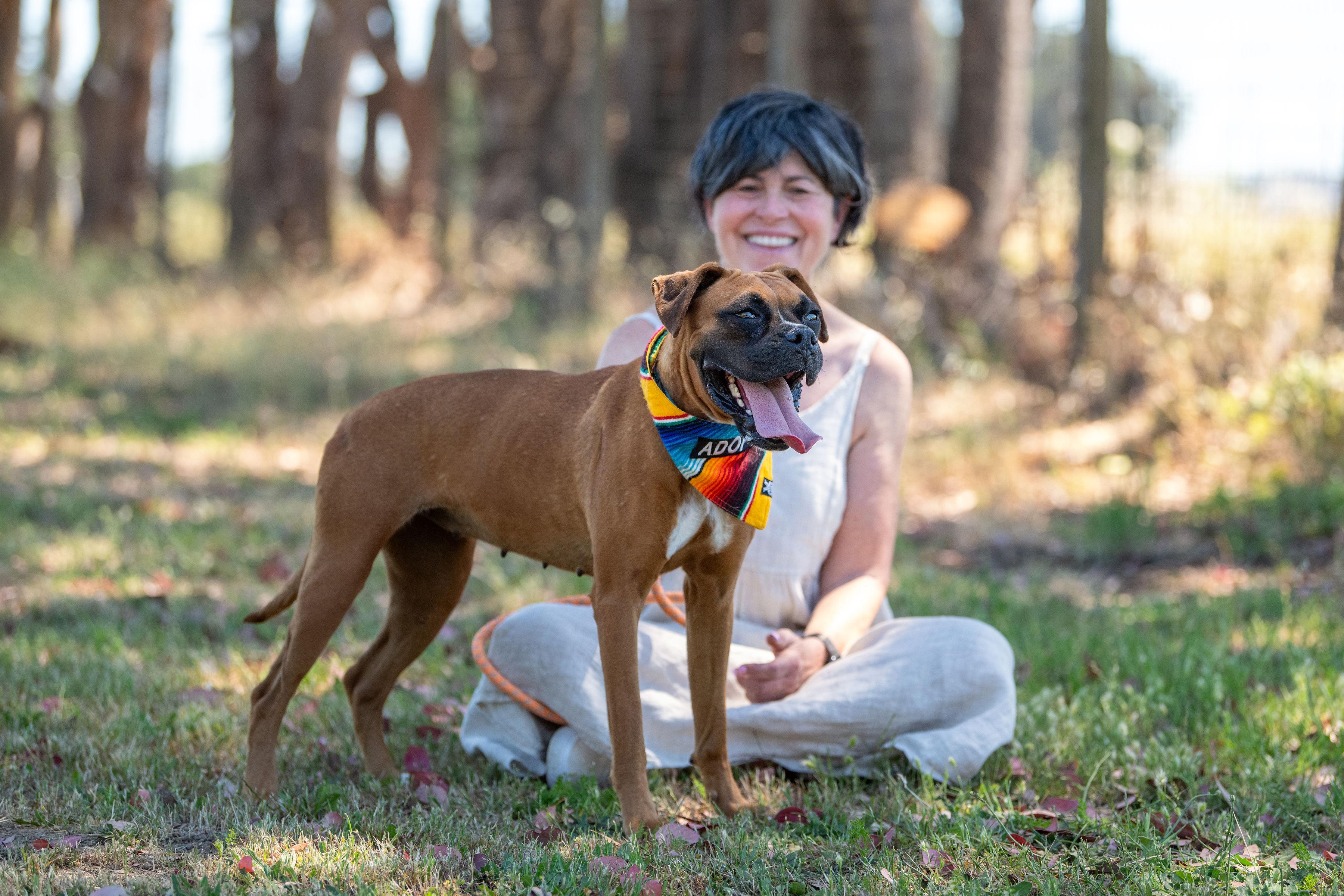 Milagros, a ADOPTABLE mixed breed in Santa Rosa, CA image 3/3