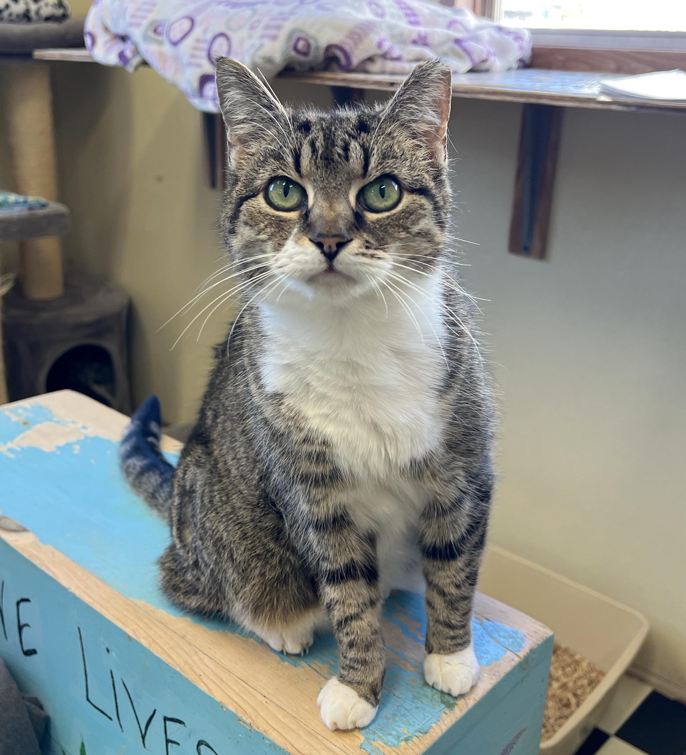 Cassy — thumbnail 4