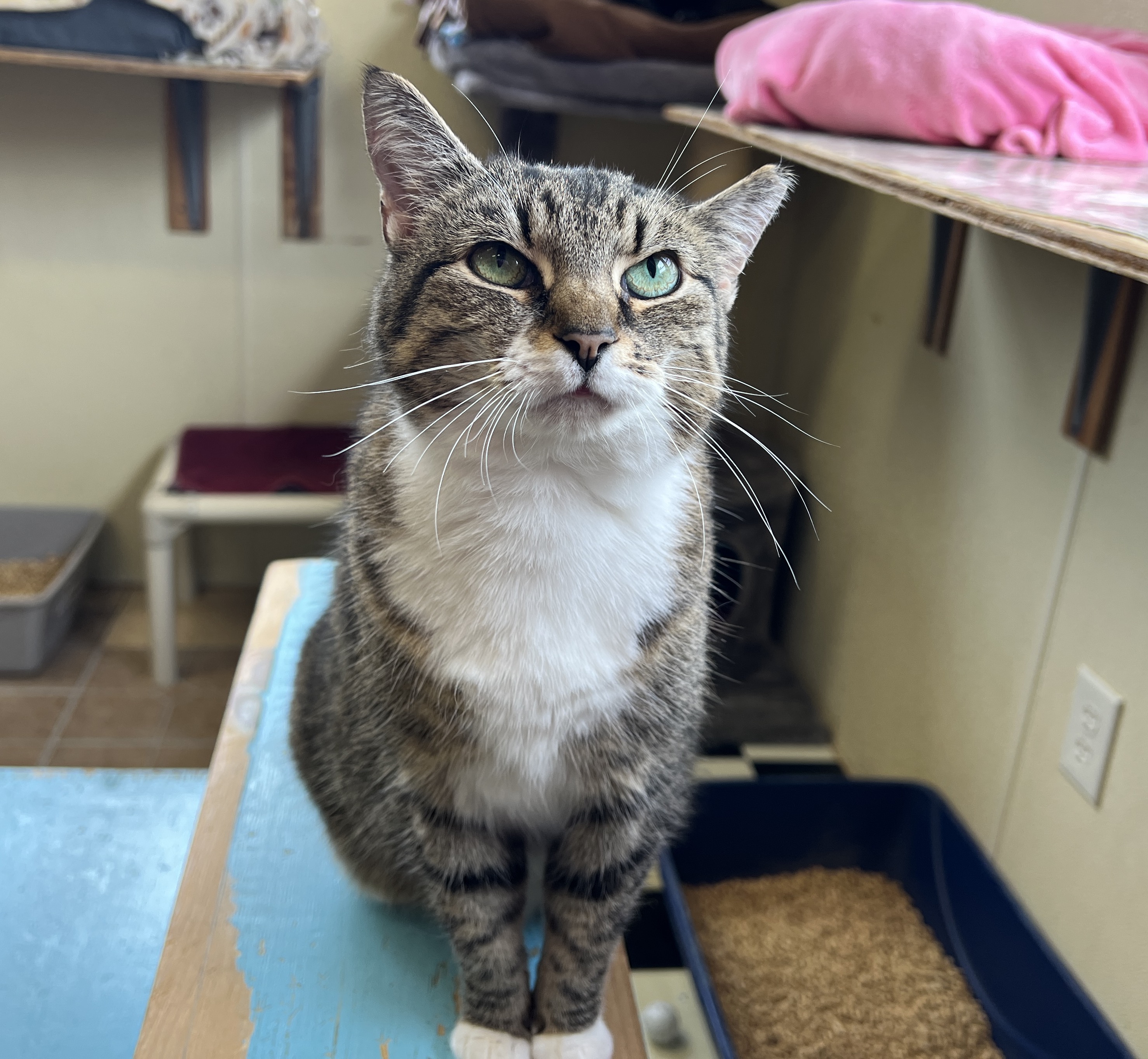 Cassy — thumbnail 5