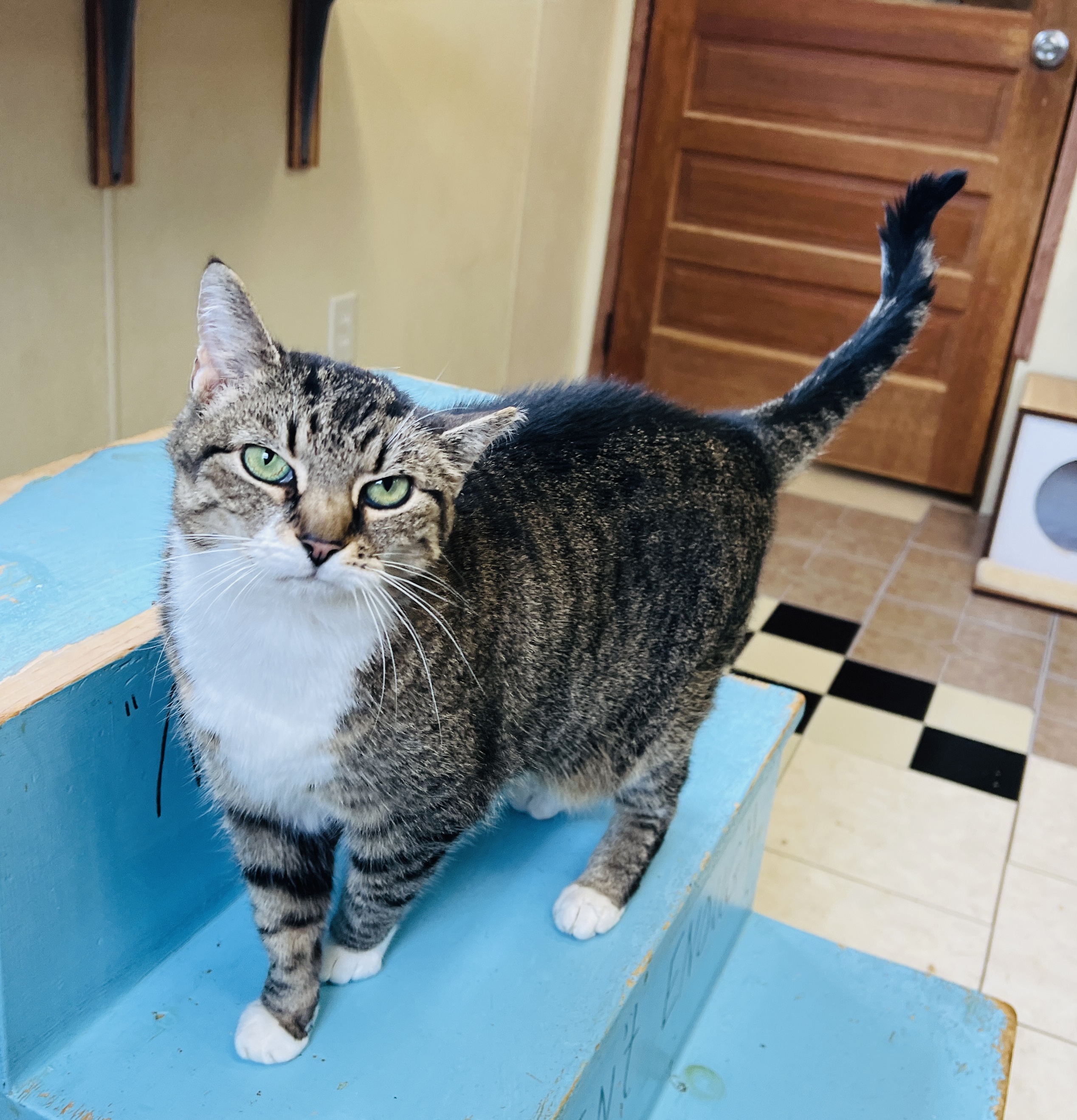 Cassy — thumbnail 6