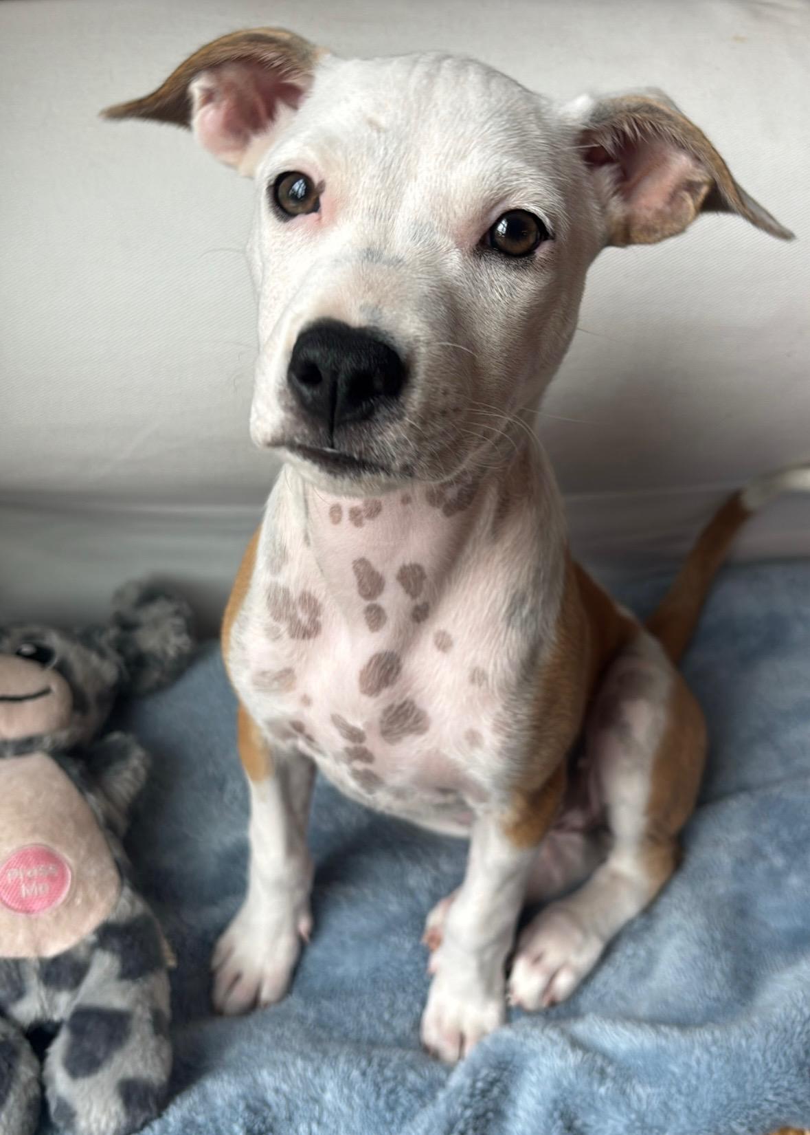 Meggie - On Her thumbnail 3